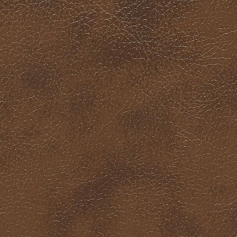 Furniture of America Pollux Reclining Leatherette Sofa CM6864-LV IMAGE 3