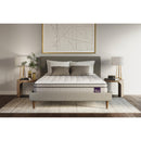 Royal Sleep Products Chloe Firm Euro Top Mattress (Full) IMAGE 5