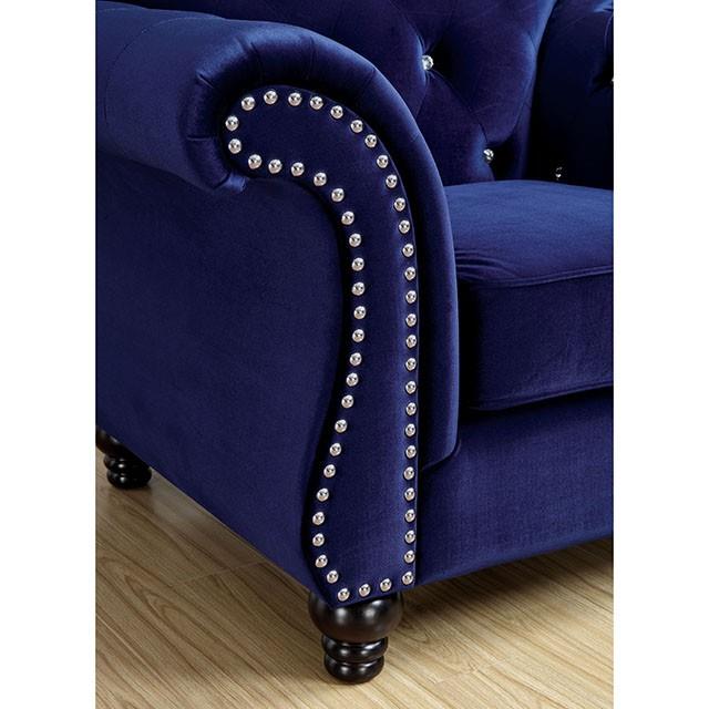 Furniture of America Jolanda Stationary Fabric Chair CM6159BL-CH-VN IMAGE 3